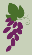 a grape icon